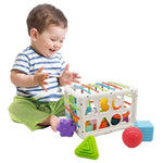 Huanger Shape Sorting Activity Cube – (18+ Months)