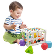 Huanger Shape Sorting Activity Cube – (18+ Months)